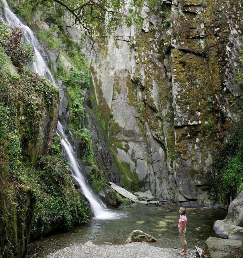 A Pequena Casa Coja Central Portugal Mountains Eksteriør billede